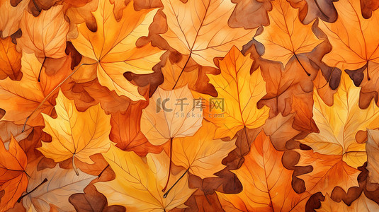 秋天的树叶浅橙色背景11
