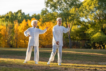 老年夫妇正在练太极拳