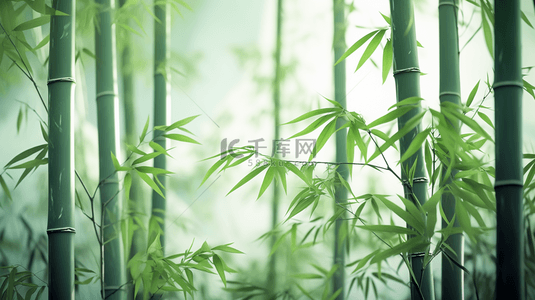 古典背景竹子背景图片_绿色竹林中国风意境背景