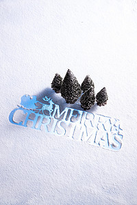 雪地上的松树和圣诞节英文