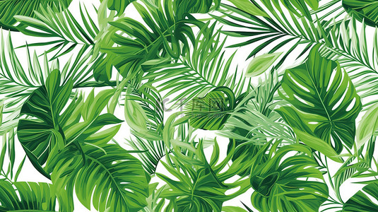 热带植物棕榈叶白色背景13