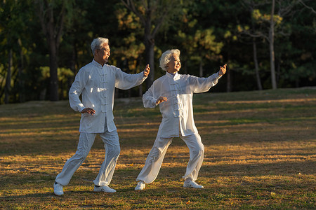 关爱老年健康摄影照片_老年夫妇正在练太极拳