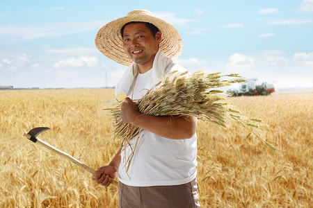 一个农民在麦田里收割麦子
