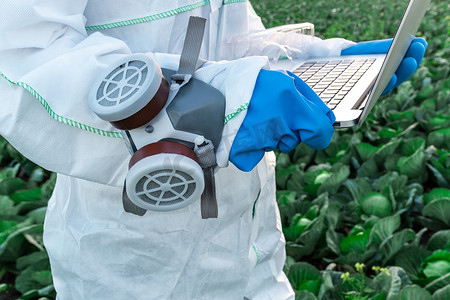 边顶摄影照片_一位穿着白色防护服、面罩和蓝色手套的农艺学家，带着收获把笔记本电脑顶在田边。化学品和农药概念问题.