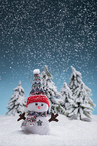 冬天的雪人摄影照片_雪中的雪人