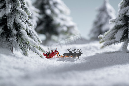 中国鹿摄影照片_雪地上驯鹿拉着圣诞老人