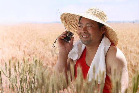 听收音机摄影照片_一个农民在麦田里听收音机