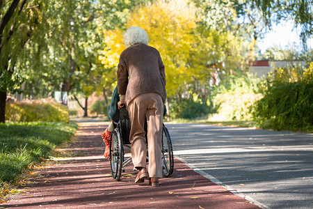 推轮椅背影摄影照片_老年女人推着坐轮椅的老伴散步