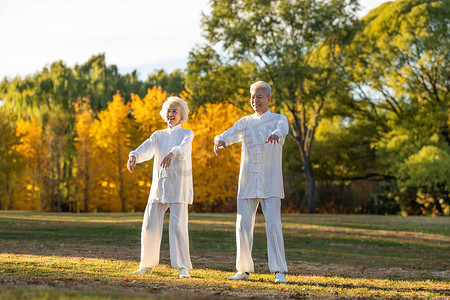 老年夫妇正在练太极拳