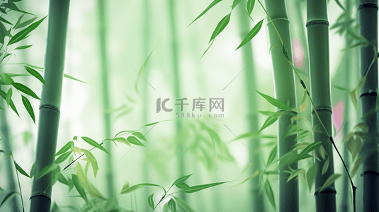 古典意境背景背景图片_绿色竹林中国风意境背景