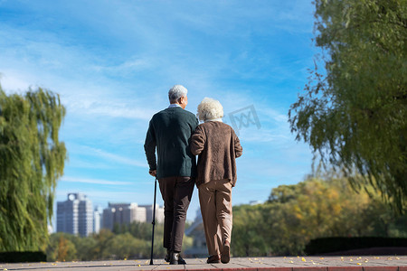 白发归来摄影照片_老年夫妇在户外散步的背影