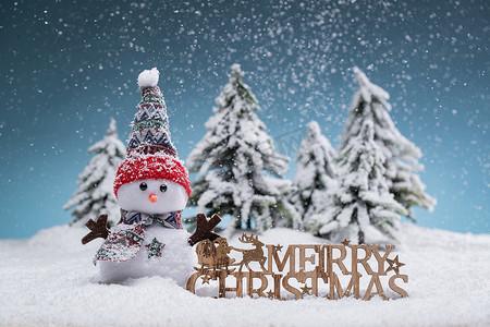圣诞节白色英文摄影照片_雪中的圣诞雪人