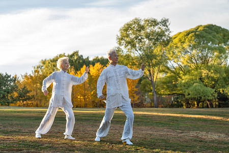 陈式太极拳摄影照片_老年夫妇正在练太极拳