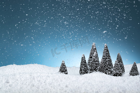 松树图片松树摄影照片_雪中的松树