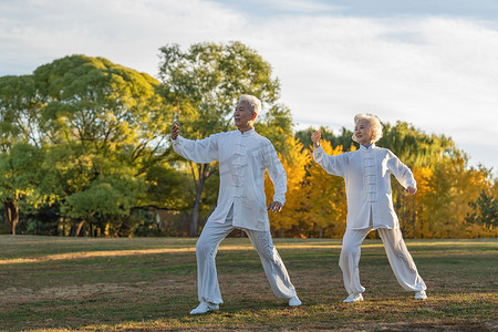 黄色草地摄影照片_老年夫妇正在练太极拳