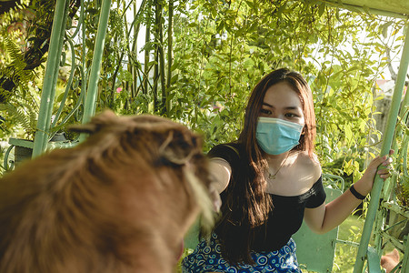 伸出手摄影照片_一名年轻的菲律宾少年戴着外科口罩，坐在滑翔机秋千上，伸出手去爱抚另一边的一只友善的狗。新的正常概念.