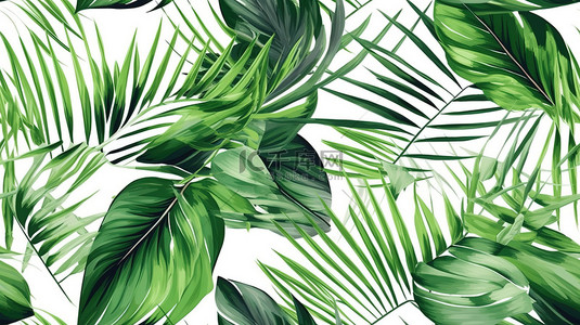 热带植物棕榈叶白色背景8