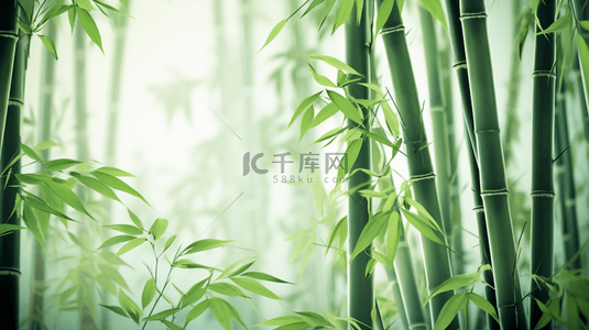 古典中国风绿色背景图片_绿色竹林中国风意境背景