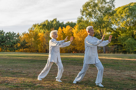 家庭树摄影照片_老年夫妇正在练太极拳