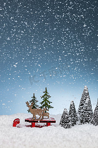 松树图片松树摄影照片_雪中的松树和麋鹿