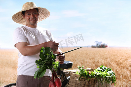 一个农民在麦田里卖菜