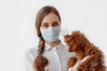 一位带着镰刀、戴着医疗面罩和橡胶手套的兽医女孩，怀里抱着一只红褐色的玩具狮子狗。动物护理、兽医护理.