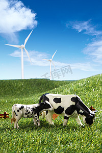 垂直农业摄影照片_牧场奶牛