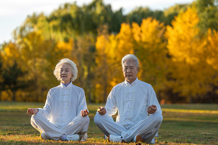 坐在草地上打坐的老年夫妇