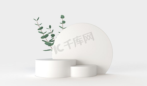最小的产品展示设计。有绿色桉树叶子的菊花。3D渲染