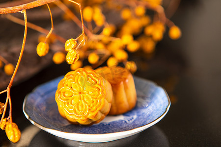 中国的中秋节，全家团聚在一起，享受月饼,