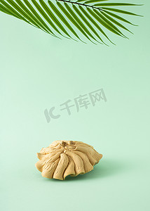大贝壳摄影照片_一个有阴影的大贝壳，上面有一个棕榈枝，中间有一个文字空间。最小夏季概念浅绿色背景