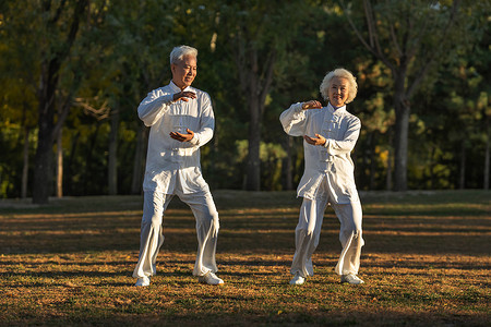 年轻衰老摄影照片_老年夫妇正在练太极拳