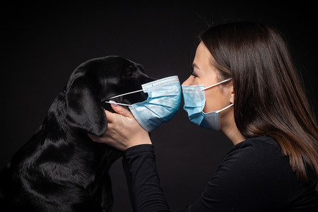 拍摄影棚摄影照片_一个拉布拉多猎犬的肖像，带着一个保护的医疗面具和一个女主人在一起。这张照片是在摄影棚拍的