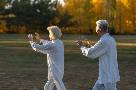 老年夫妇正在练太极拳