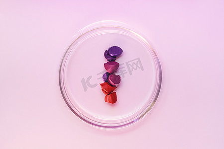 带有红色勃艮第和紫色口红纹理的Petri碗。浅紫色的背景。从上面看.