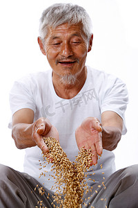 老年人面部摄影照片_一个农民手捧麦粒