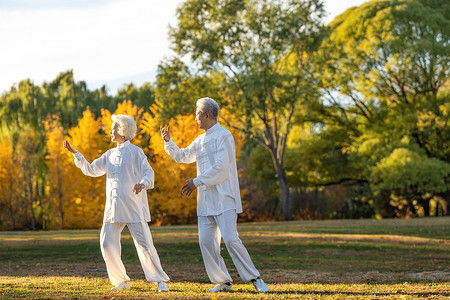 老年夫妇正在练太极拳