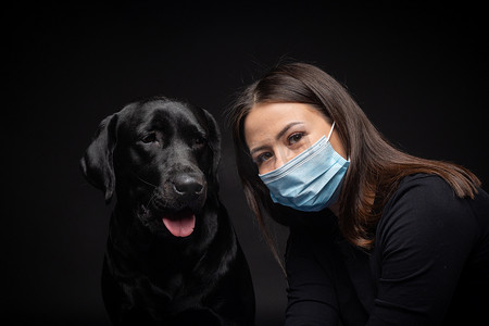 拍摄影棚摄影照片_一个拉布拉多猎犬的肖像，带着一个保护的医疗面具和一个女主人在一起。这张照片是在摄影棚拍的