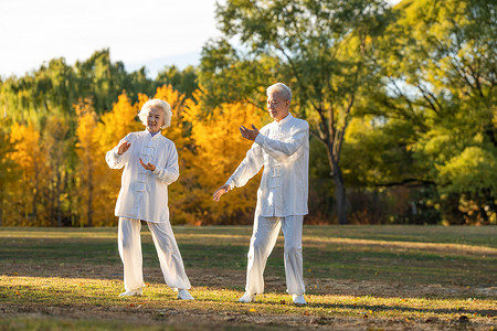 运动元素摄影照片_老年夫妇正在练太极拳