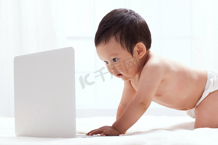 科技12摄影照片_婴儿看笔记本电脑