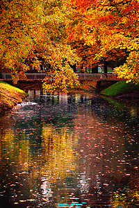 秋天风景与湖和树与金黄和红色叶子。公园的秋天场面 