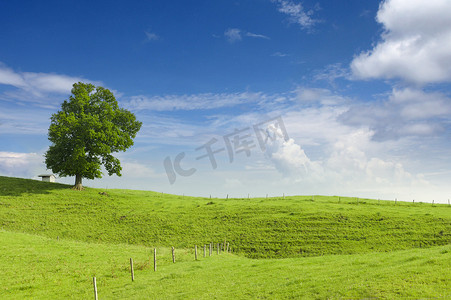 大椴树、 小木屋和绿色的山与蔚蓝的天空，在春天的木栅栏