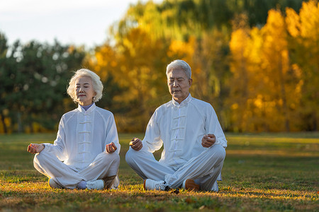 坐在草地上打坐的老年夫妇