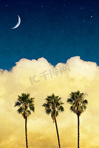 黄色背景星星摄影照片_月亮棕榈树