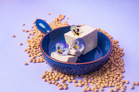 豆腐豆类和豆浆乳制品替代品素食主义者简约抄袭空间负空间粉刷紫菜式灵感