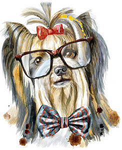 狗，yorkie与领结和白色背景的眼镜。手绘甜宠物图解.