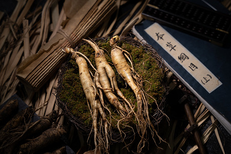 植物草本摄影照片_中草药