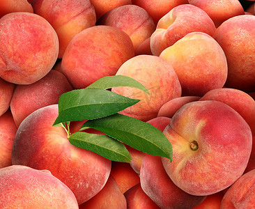 桃背景与一堆新鲜多汁成熟桃子作为夏天果子收获.