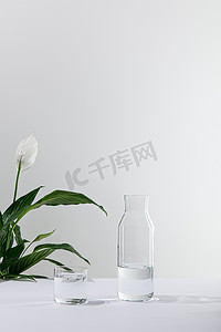 开化清水鱼摄影照片_白色表面绿色和平百合植物附近的玻璃瓶和清水
