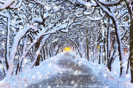 同里摄影照片_波兰公园胡同里的白雪皑皑的冬日风光